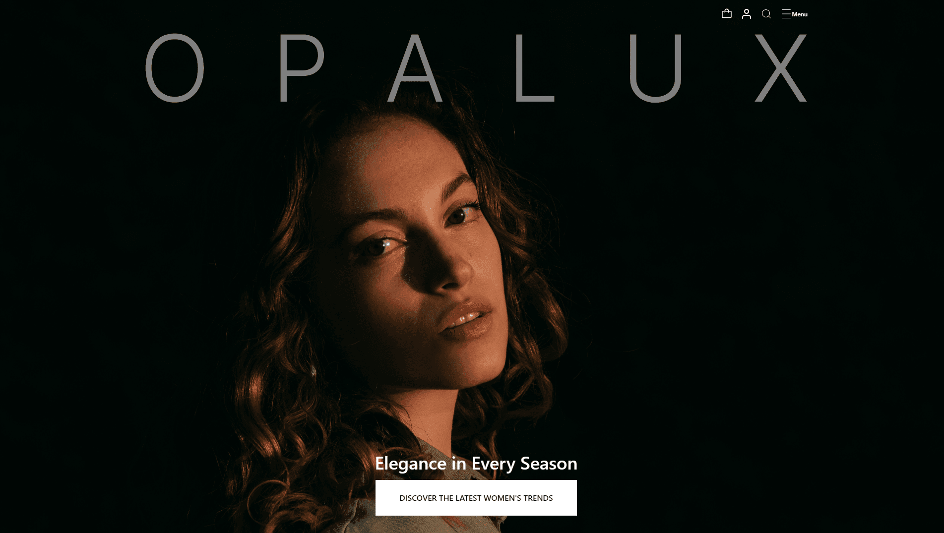 Fashion Website Homepage